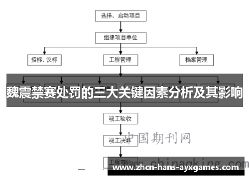 魏震禁赛处罚的三大关键因素分析及其影响