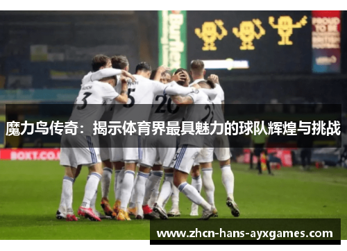 魔力鸟传奇:揭示体育界最具魅力的球队辉煌与挑战 魔力鸟传奇:揭示体育界最具魅力的球队辉煌与挑战