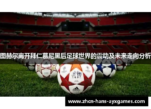 图赫尔离开拜仁慕尼黑后足球世界的震动及未来走向分析 图赫尔离开拜仁慕尼黑后足球世界的震动及未来走向分析