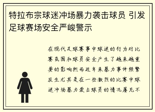 特拉布宗球迷冲场暴力袭击球员 引发足球赛场安全严峻警示 特拉布宗球迷冲场暴力袭击球员 引发足球赛场安全严峻警示
